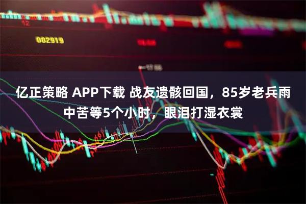 亿正策略 APP下载 战友遗骸回国，85岁老兵雨中苦等5个小时，眼泪打湿衣裳