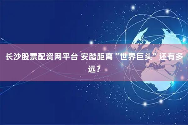 长沙股票配资网平台 安踏距离“世界巨头”还有多远？