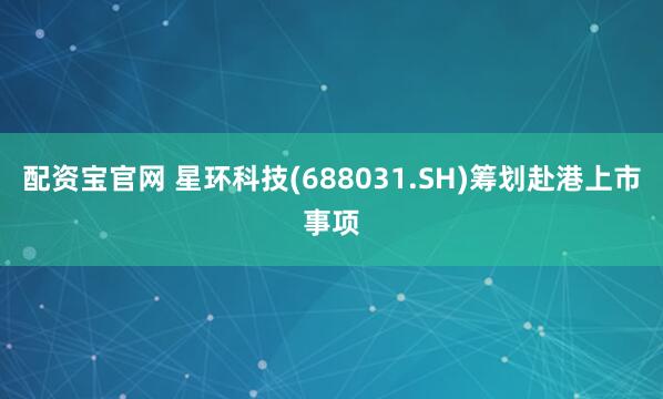 配资宝官网 星环科技(688031.SH)筹划赴港上市事项
